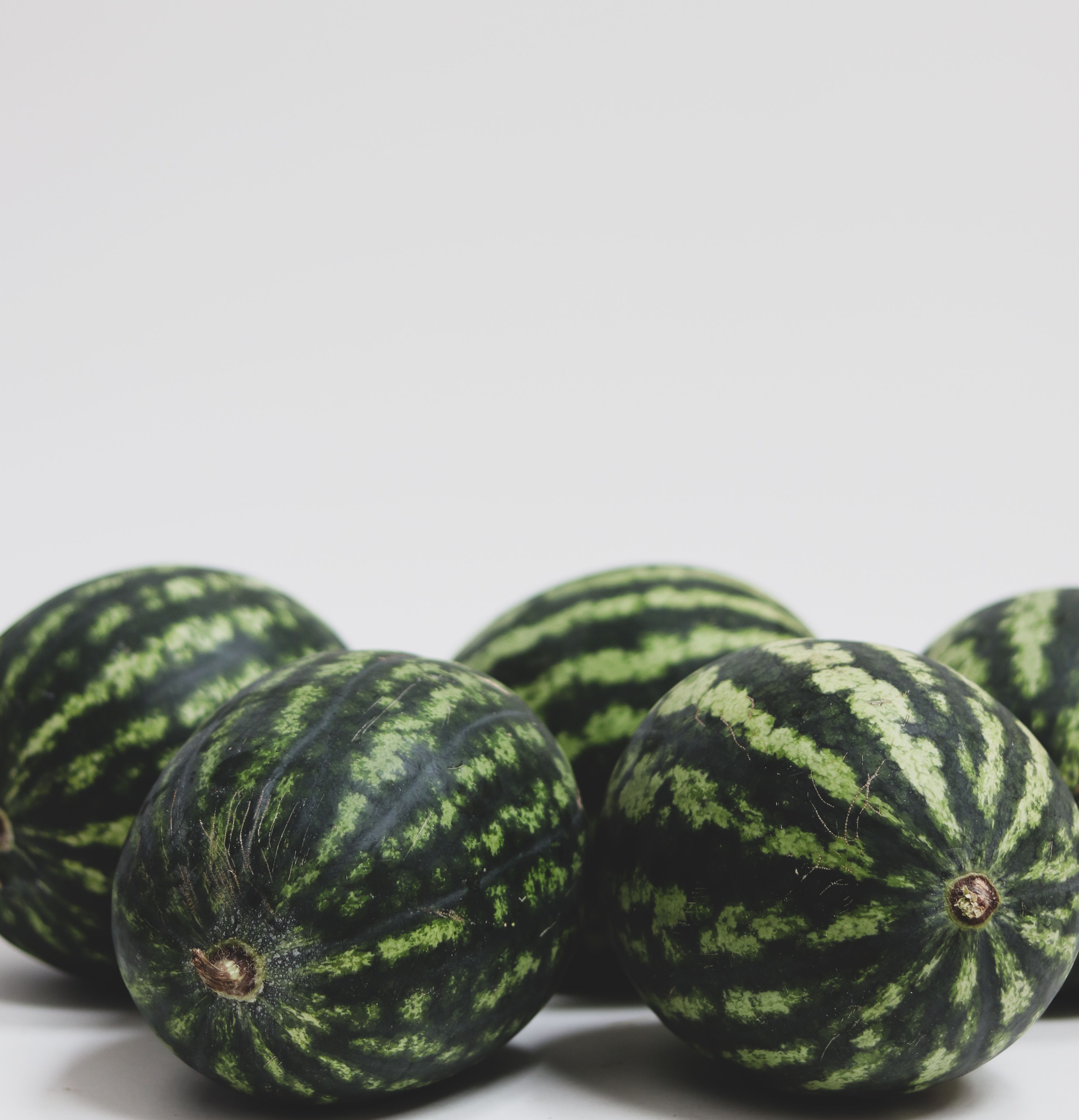 Watermelon, Mini