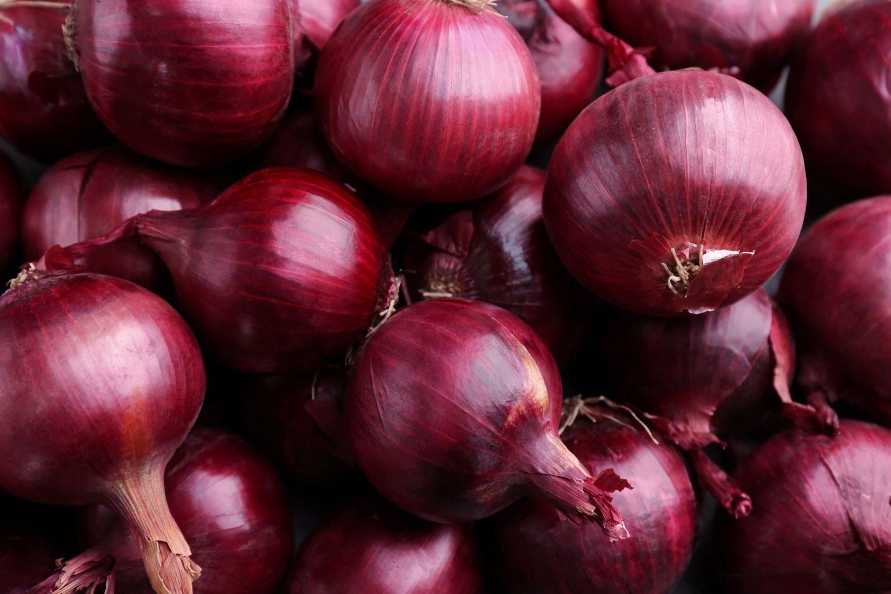 Image of Onions - Red