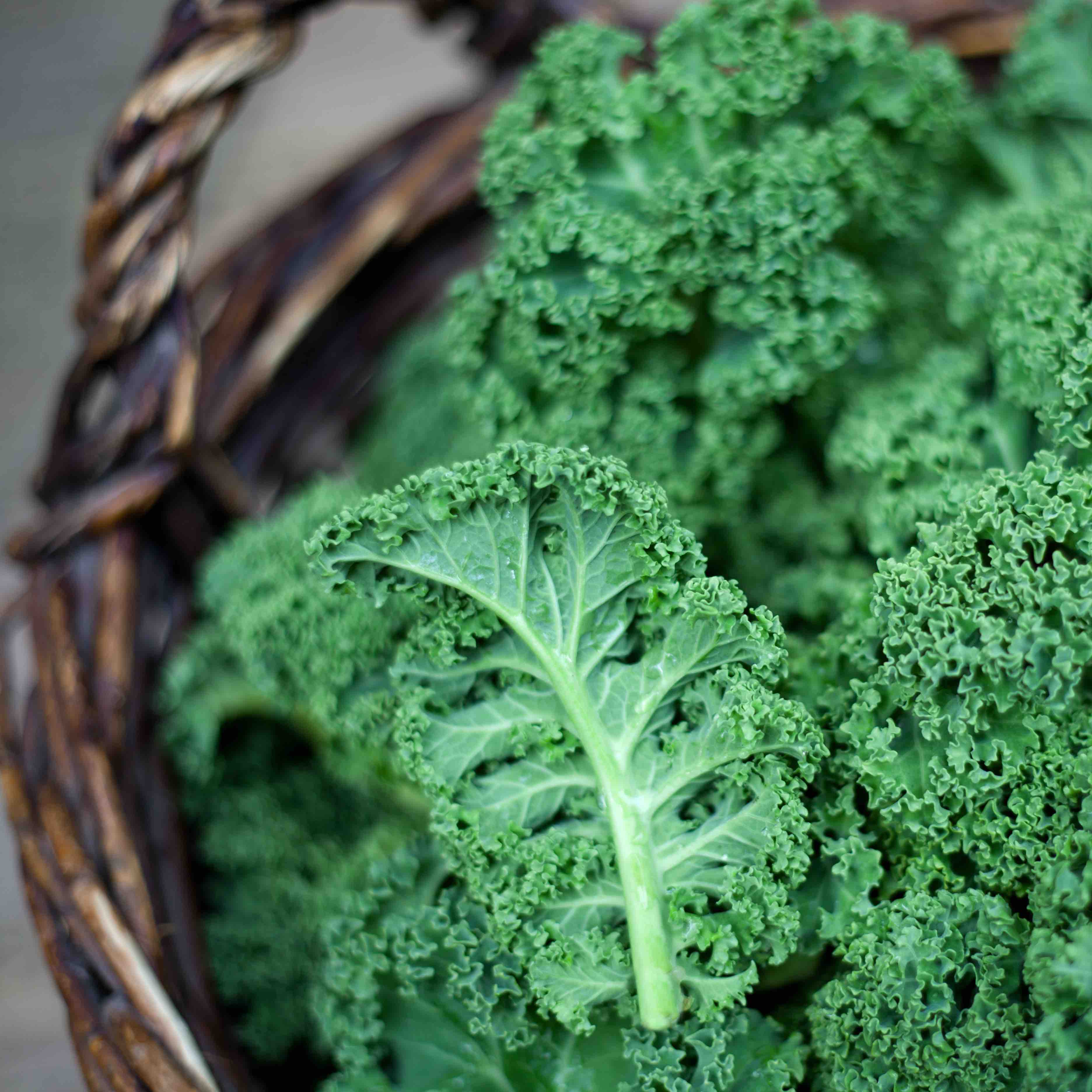 Kale Curly 'Green' (250g)