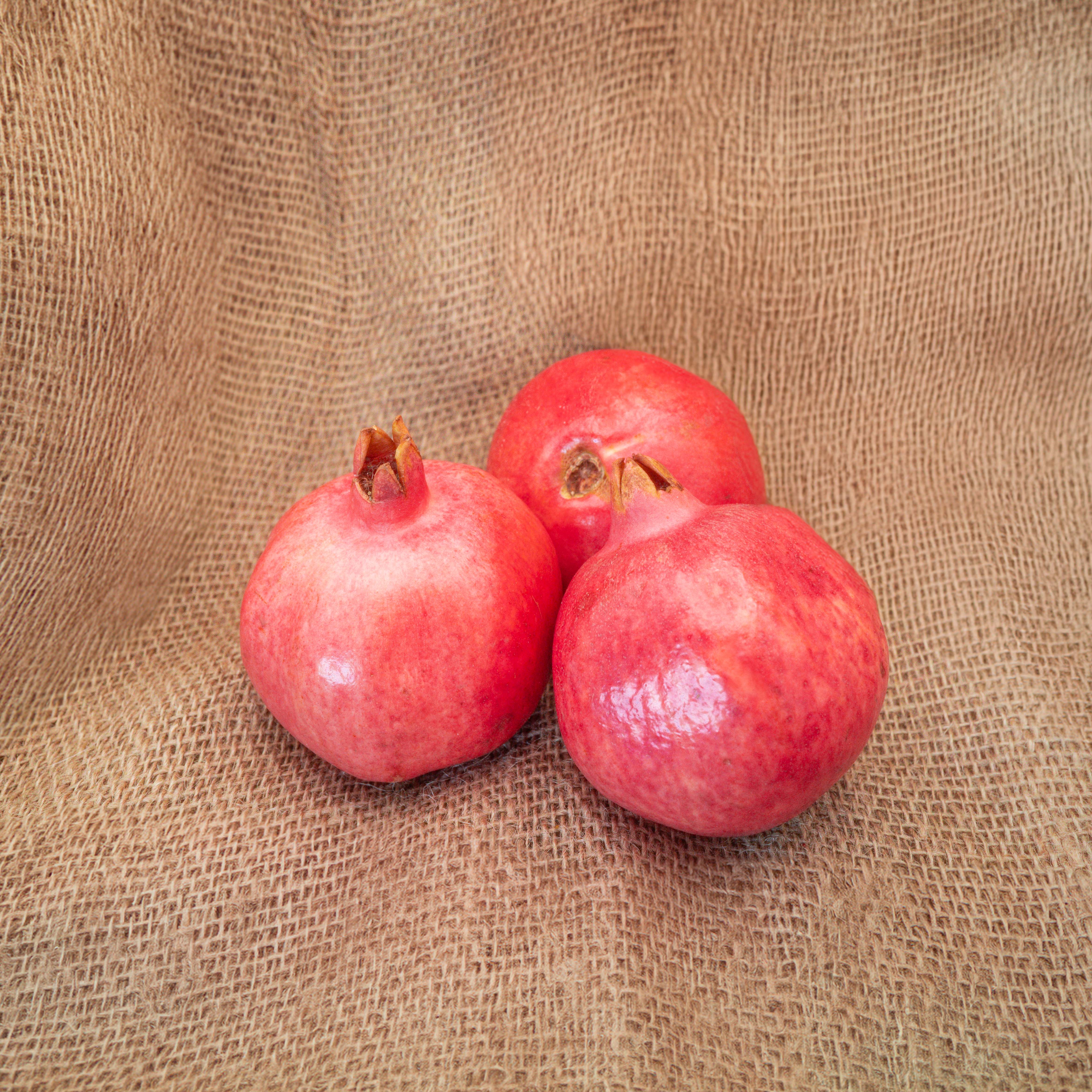 PYO Pomegranate