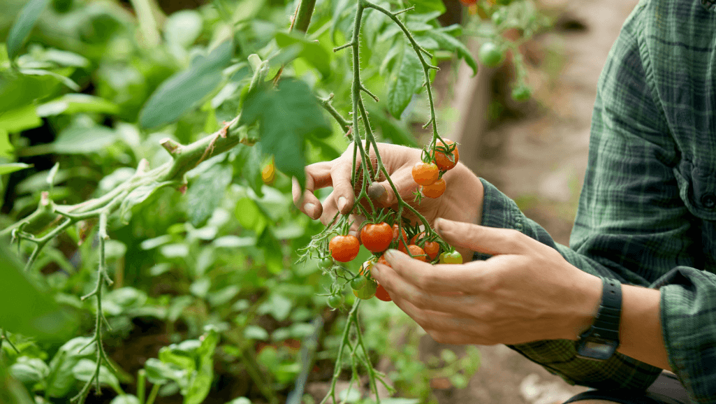 Image of OUR MISSION