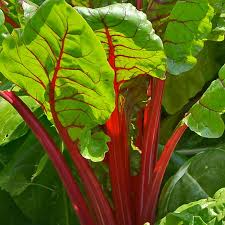 PYO Chard - Ruby