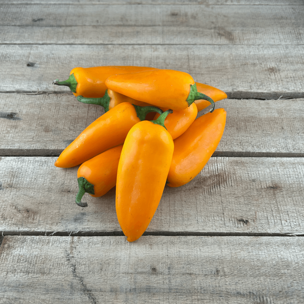 Snack Peppers