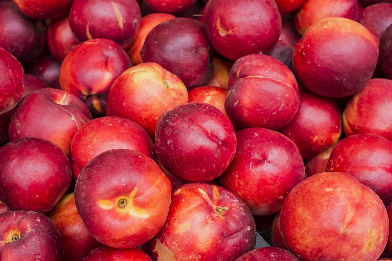 Image of Nectarine