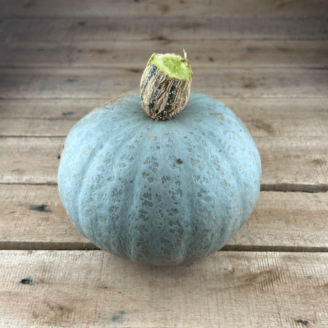 Winter Sweet Squash