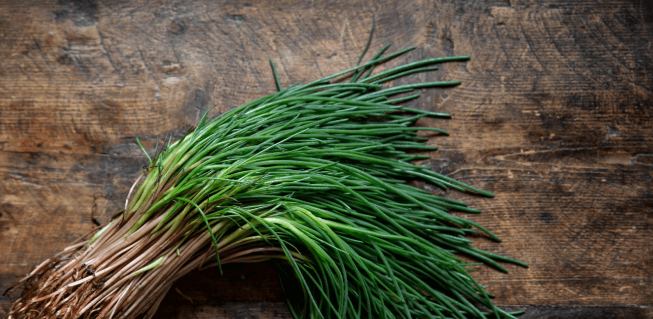 Image of Agretti (Monk's beard)