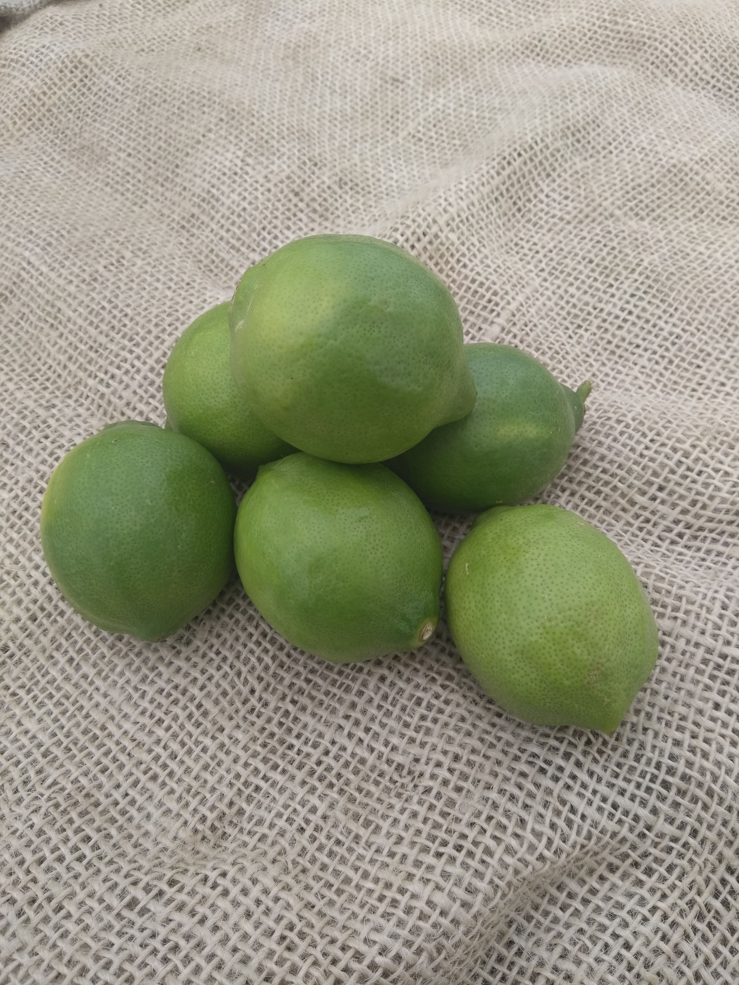 Green Lemons (Langridge, Italy)