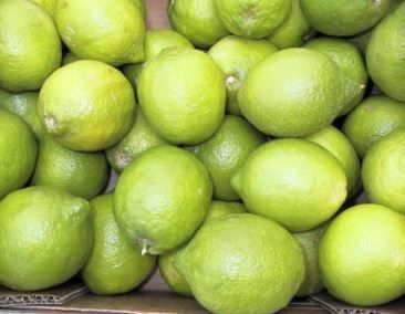 Green Lemons (Langridge, Italy)