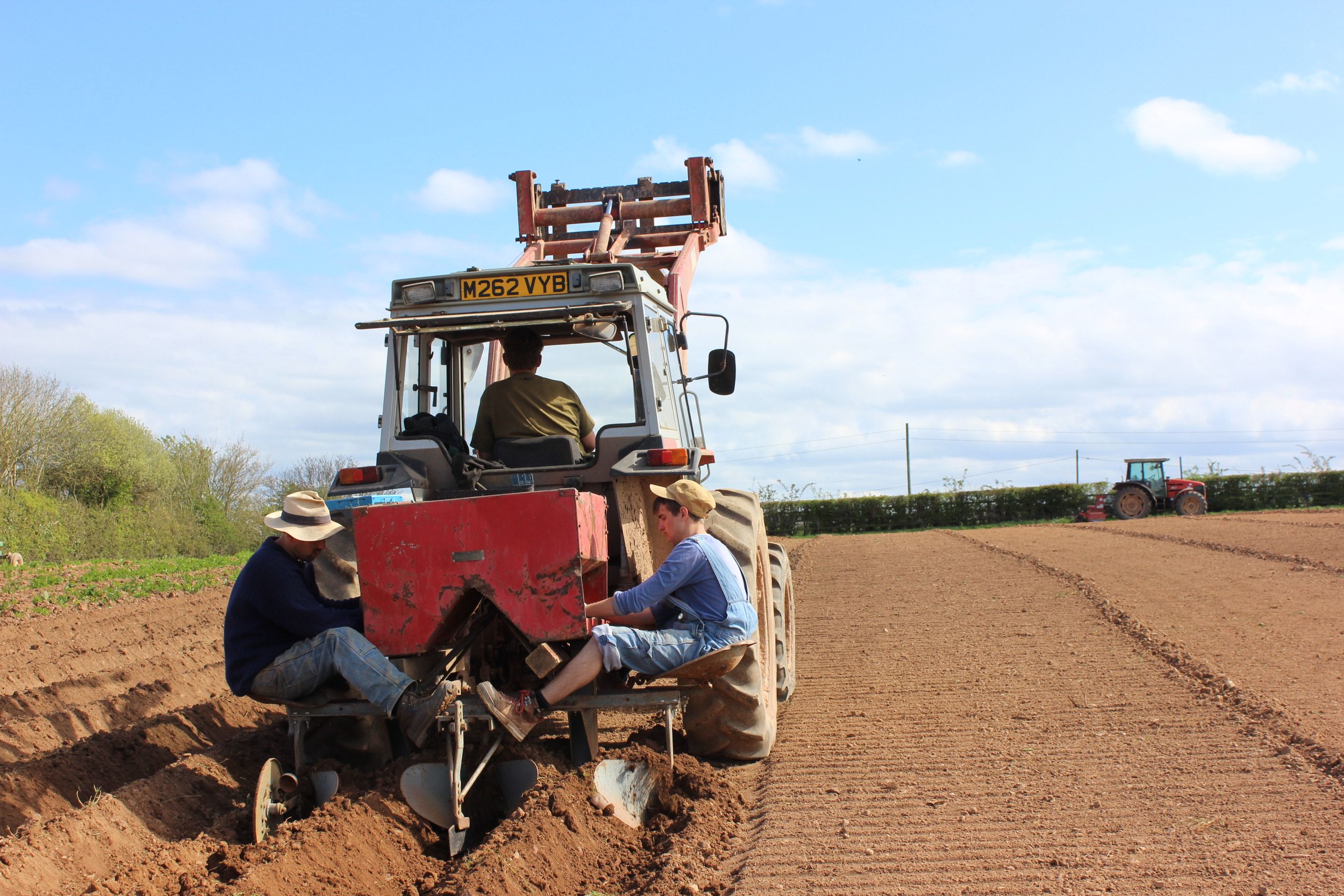 Image of Alouette potatoes