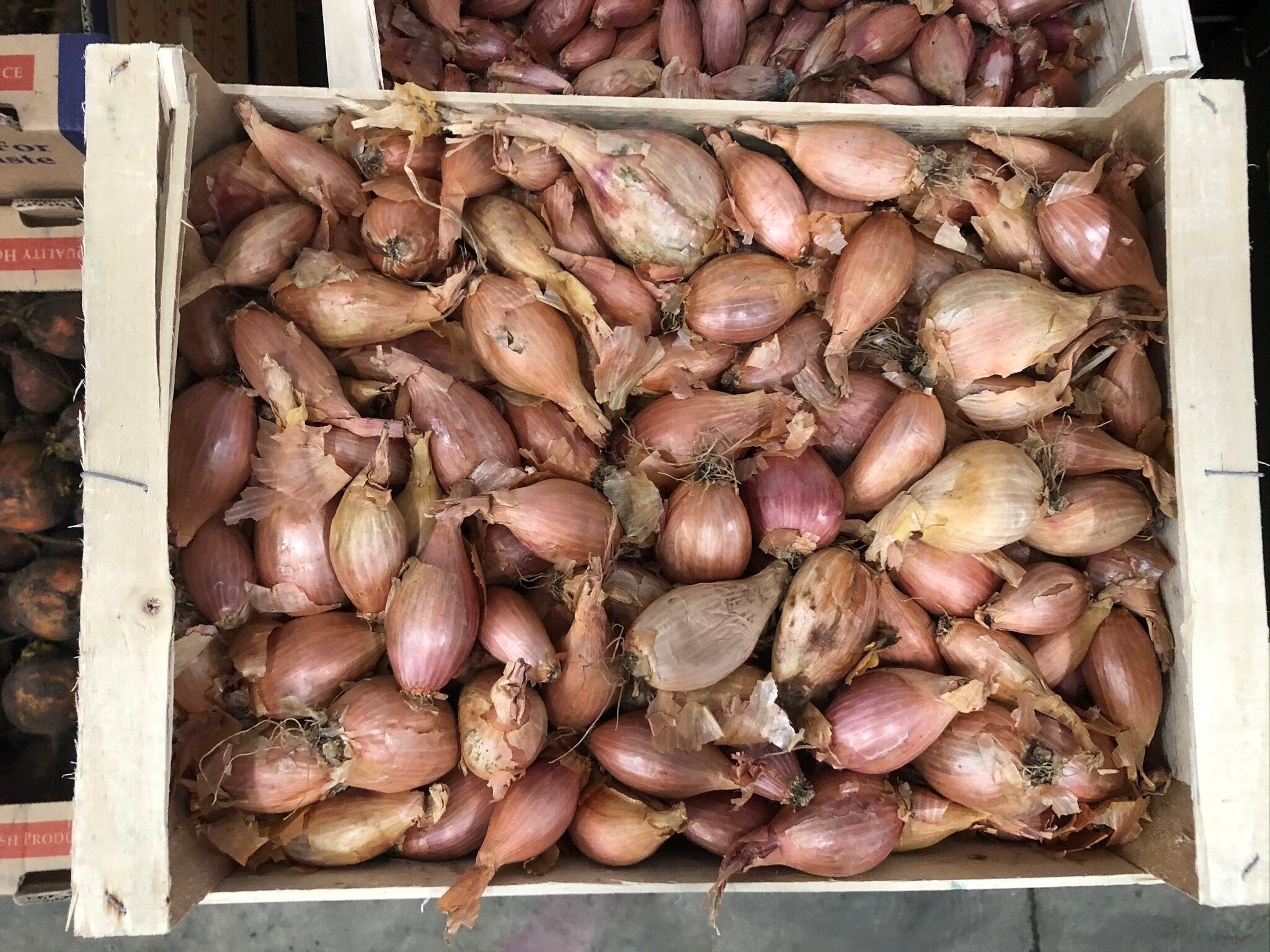 Shallots
