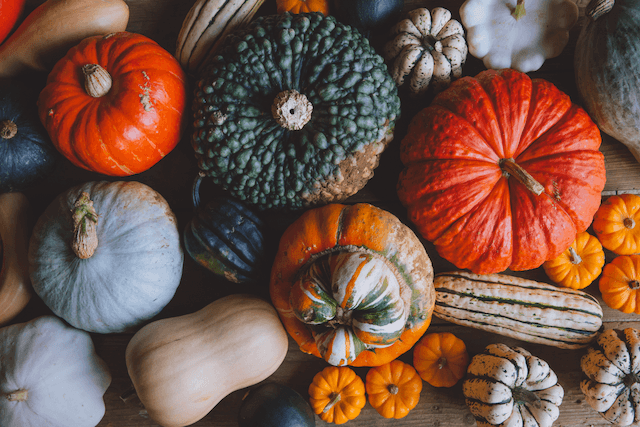 Image of Sandy Lane Farm