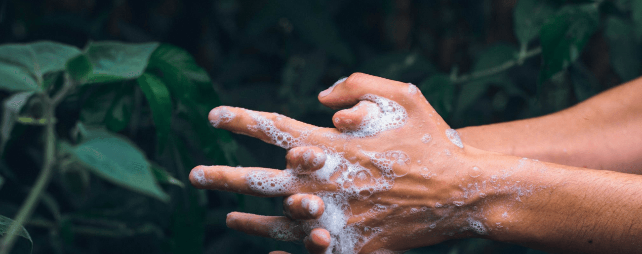 Image of Ecoleaf Hand Soap