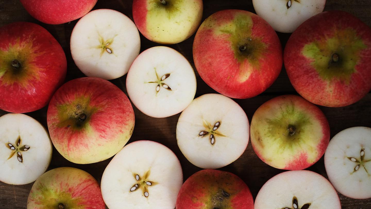 Image of Our suppliers