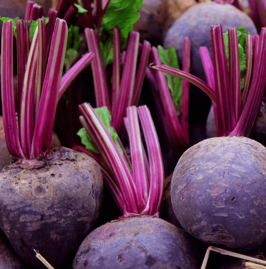 Beetroot, Red