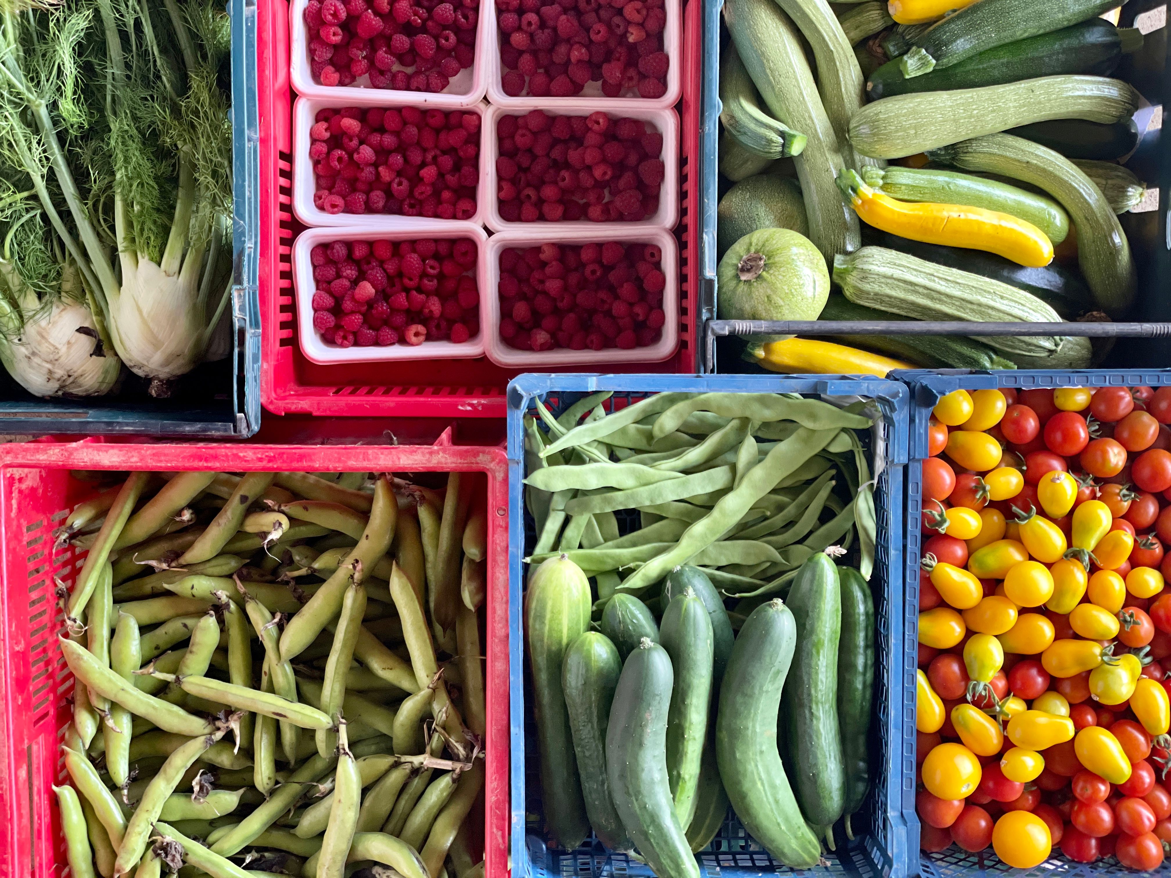 Image of Online Shop