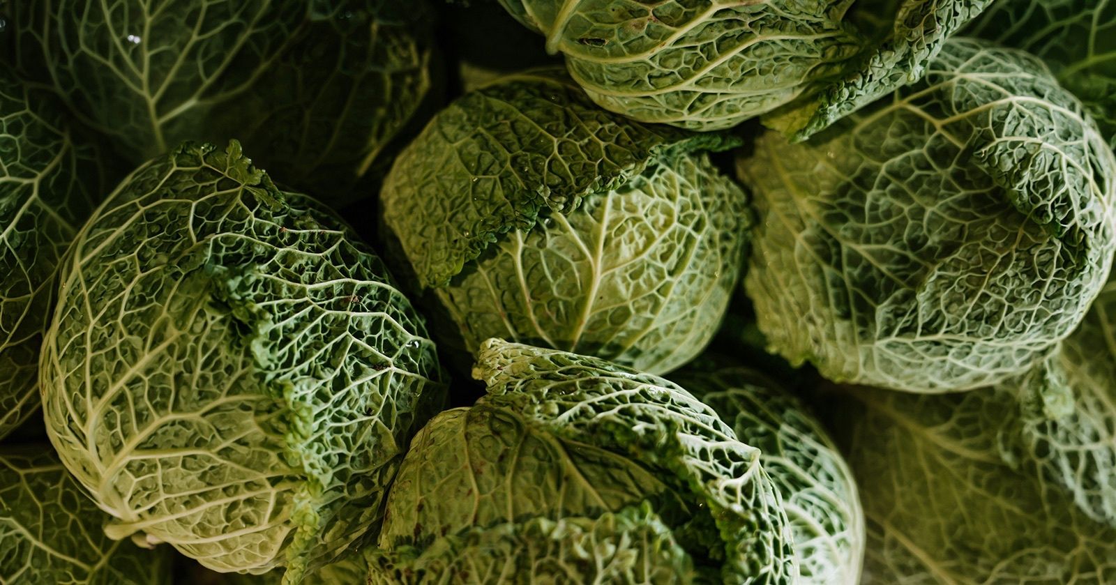 Image of Cabbage, Savoy