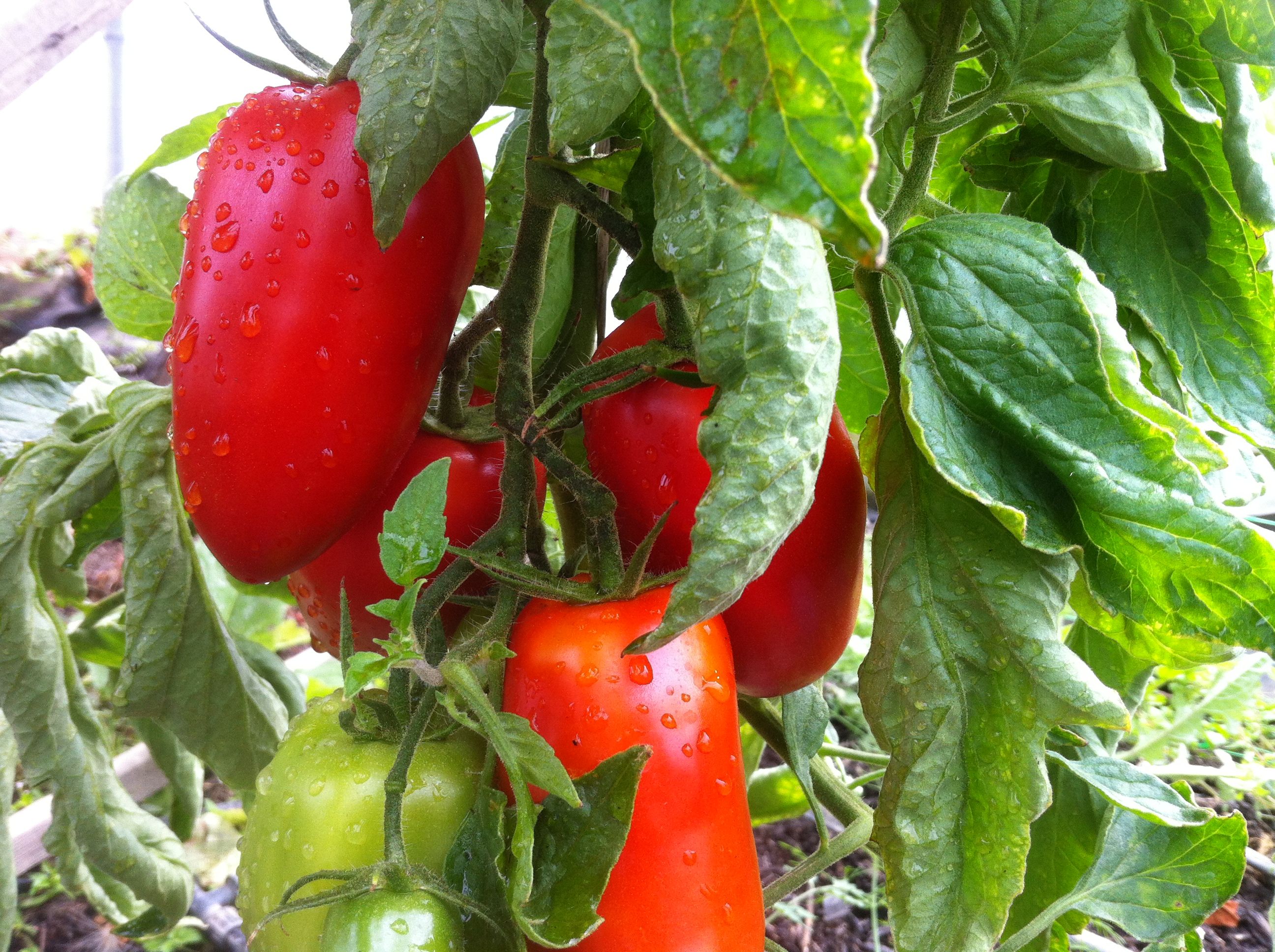 Image of Privacy Policy