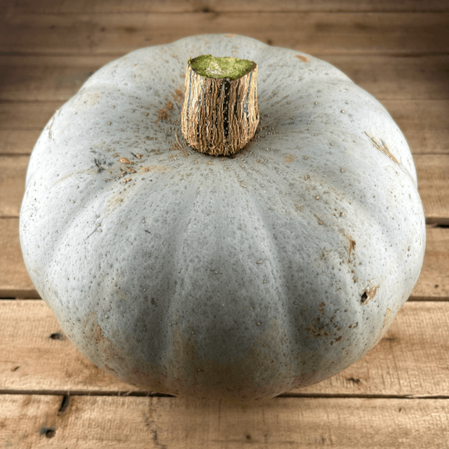 Crown Prince Squash