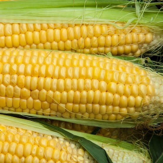 Image of Sweetcorn