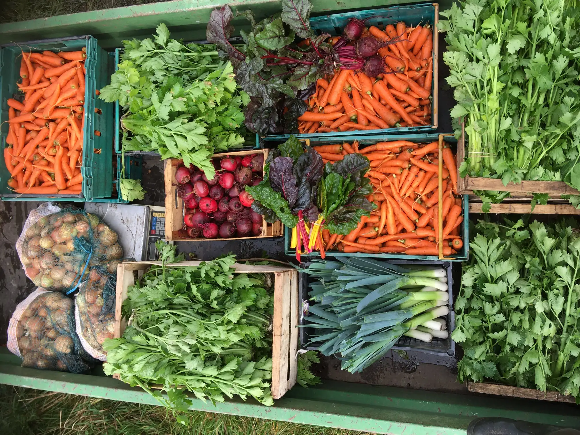 Image of How to order