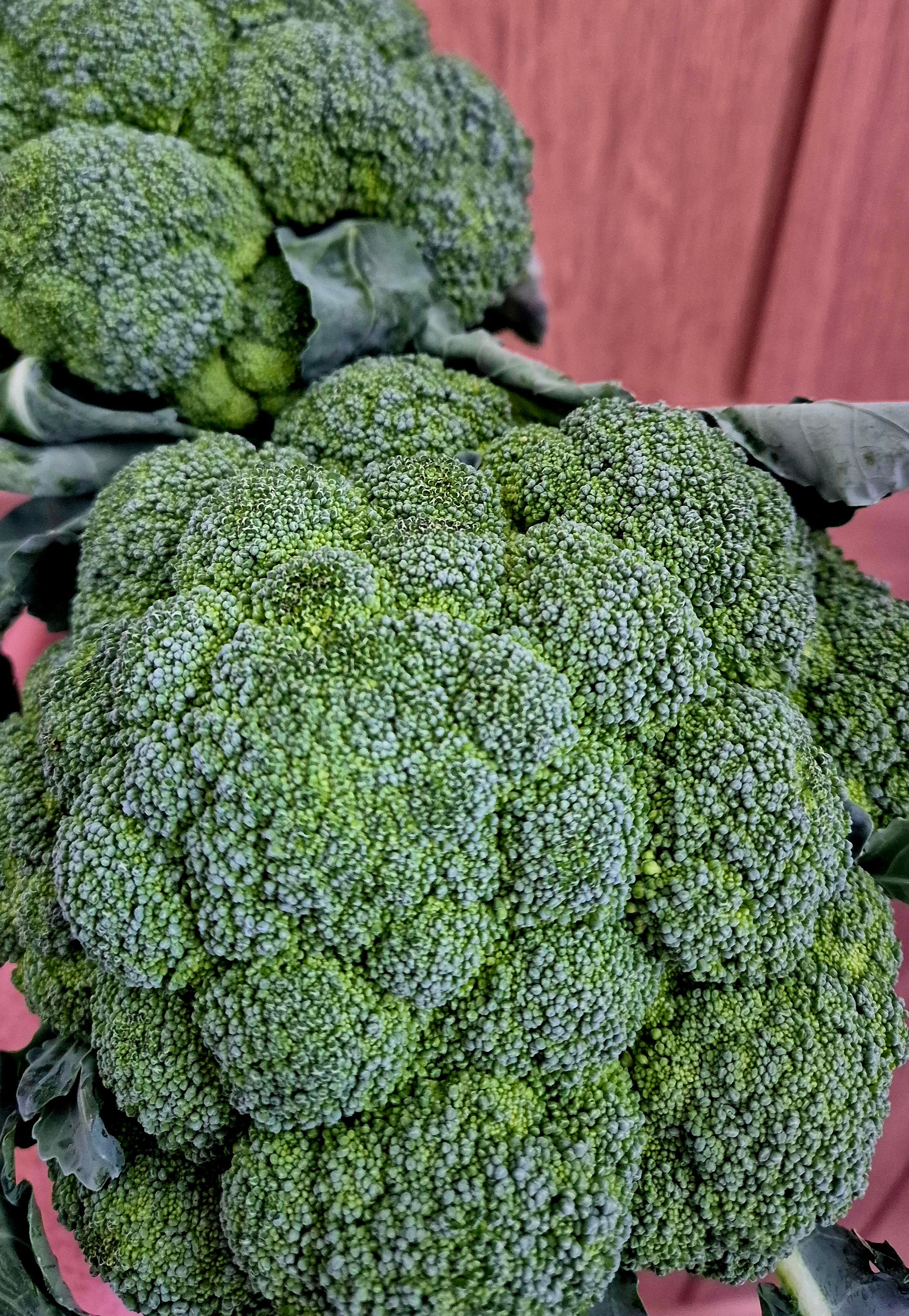 Broccoli