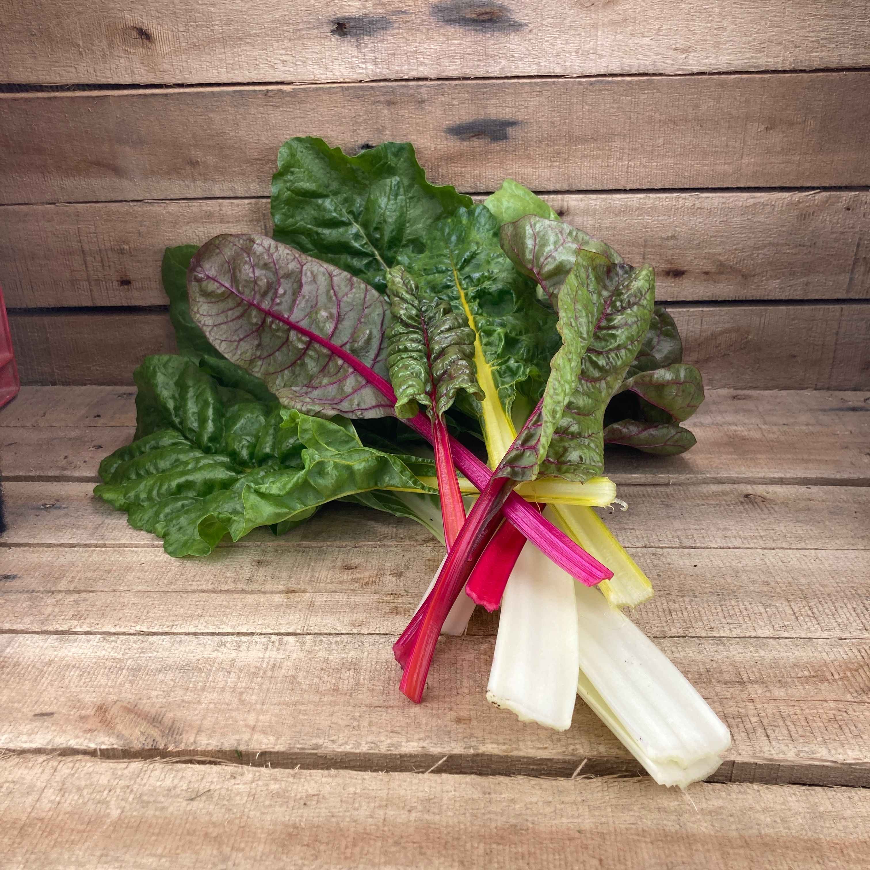 Image of Rainbow Chard