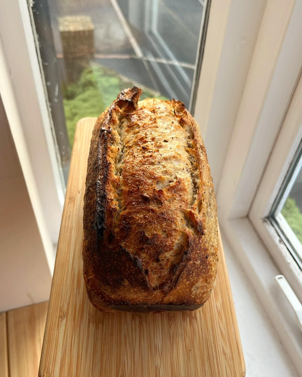 Image of Five Seed Sourdough (Sunflower Kitchen)