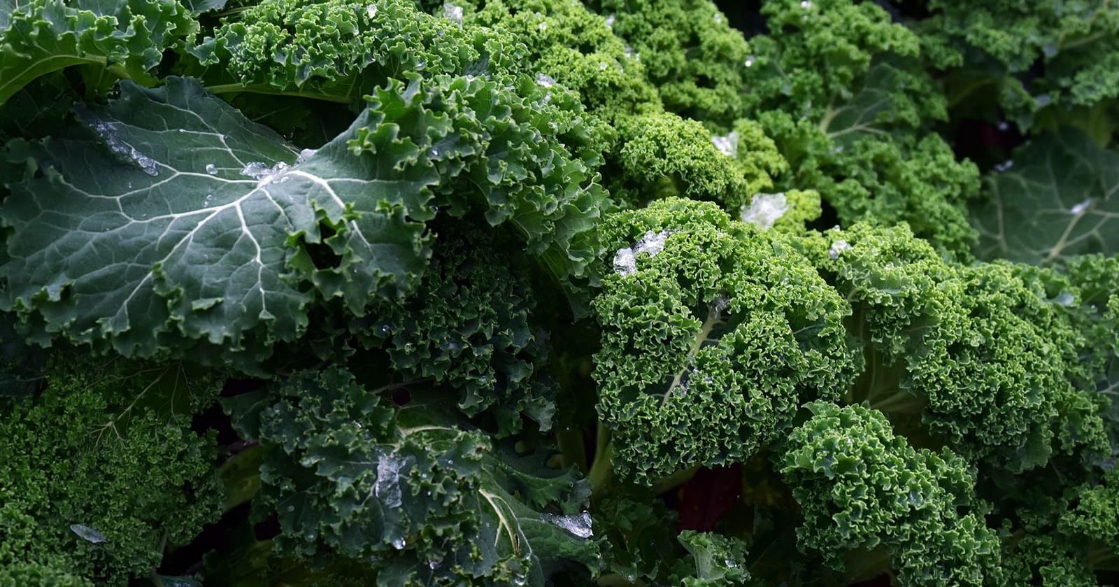 Image of Kale (250g)