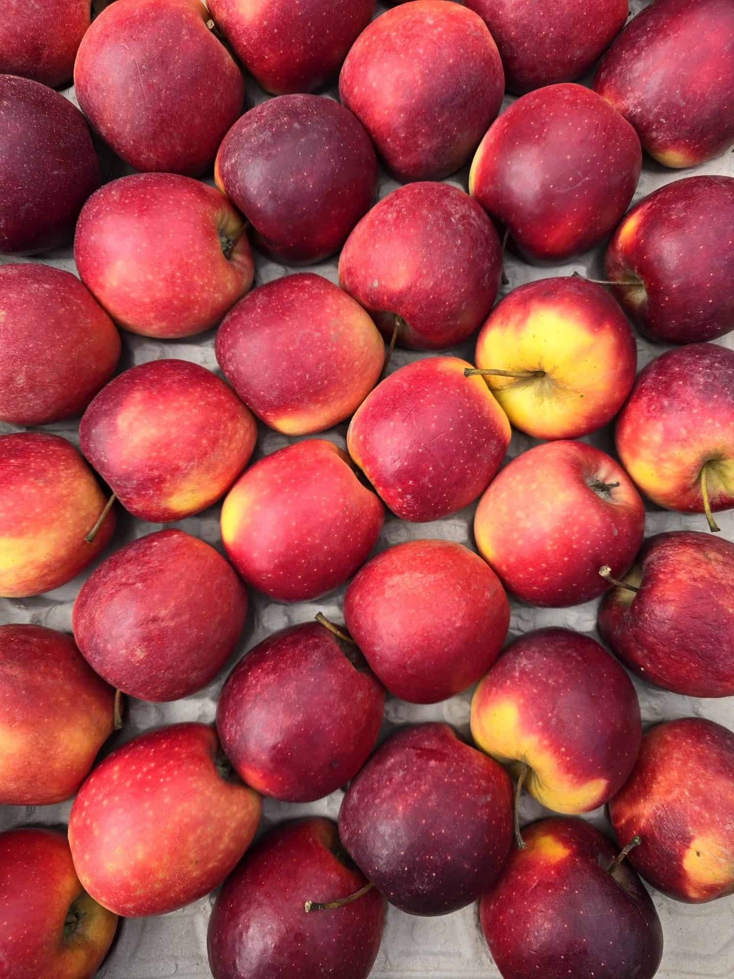 Image of Apples - Inored