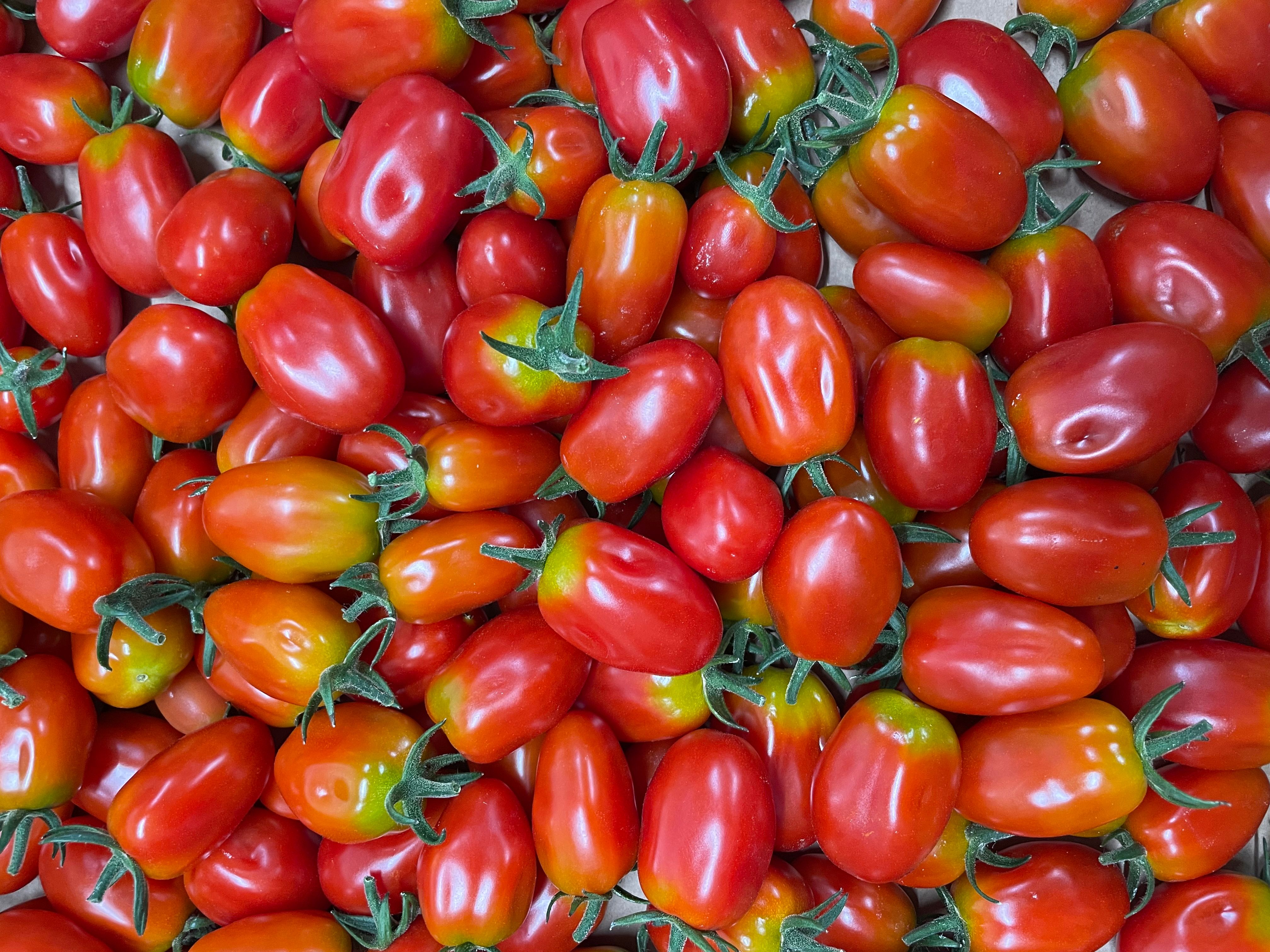 Baby plum tomatoes