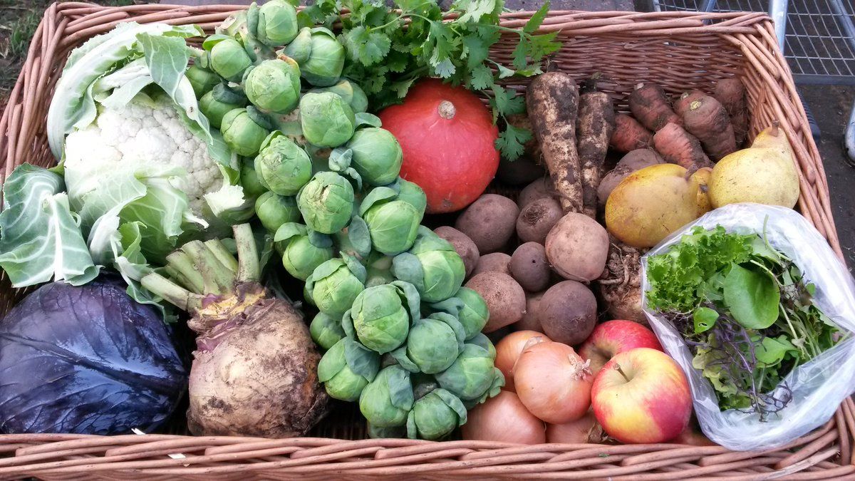 Image of Enfield Veg Co