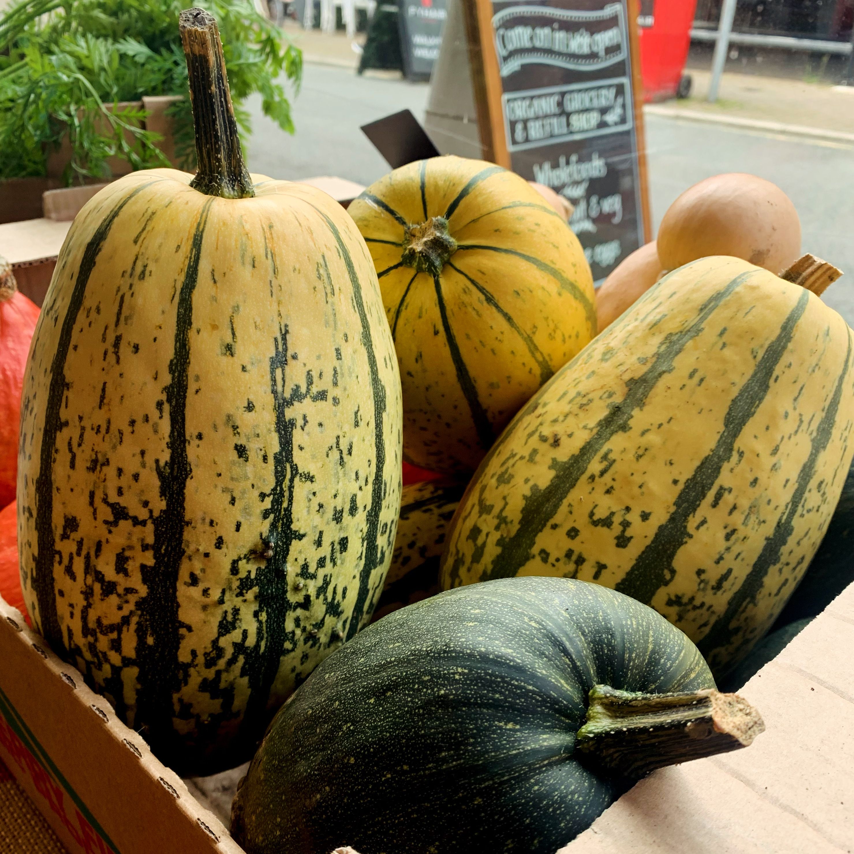 Image of Squash