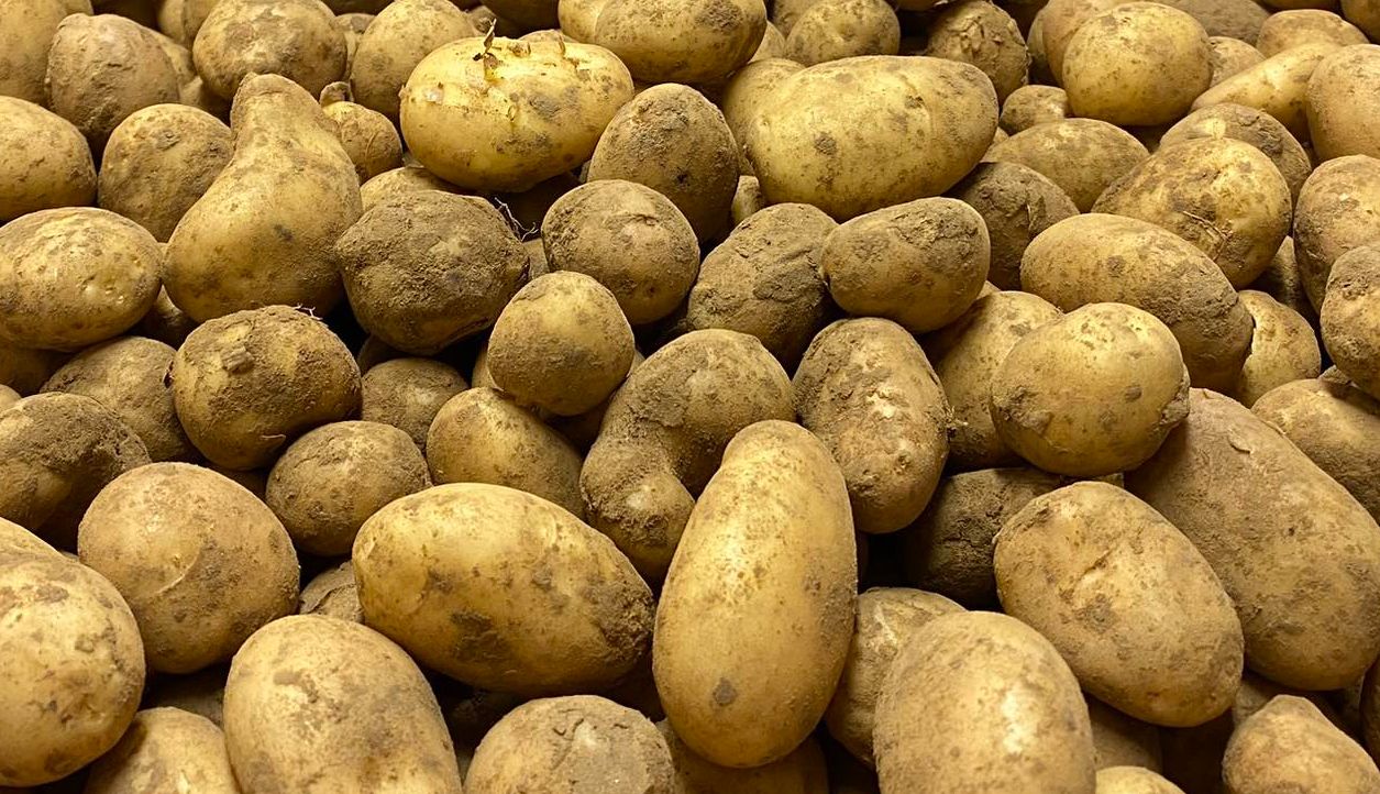 Image of Jersey Royal Potatoes (Mids)