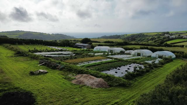 Image of Farm Open Day