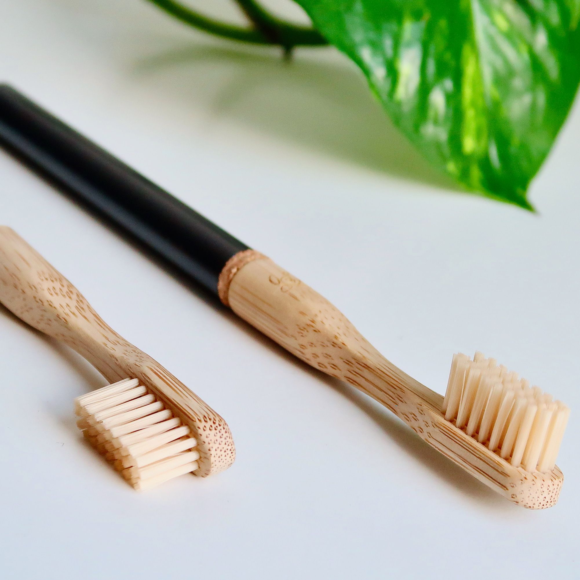 Image of Natural Dental Care
