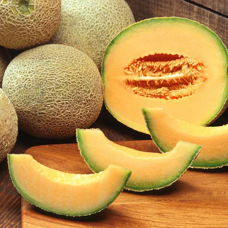 Organic Charantais Melon
