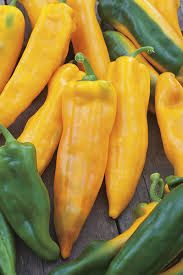 PYO Yellow 'corno di Toro' Peppers