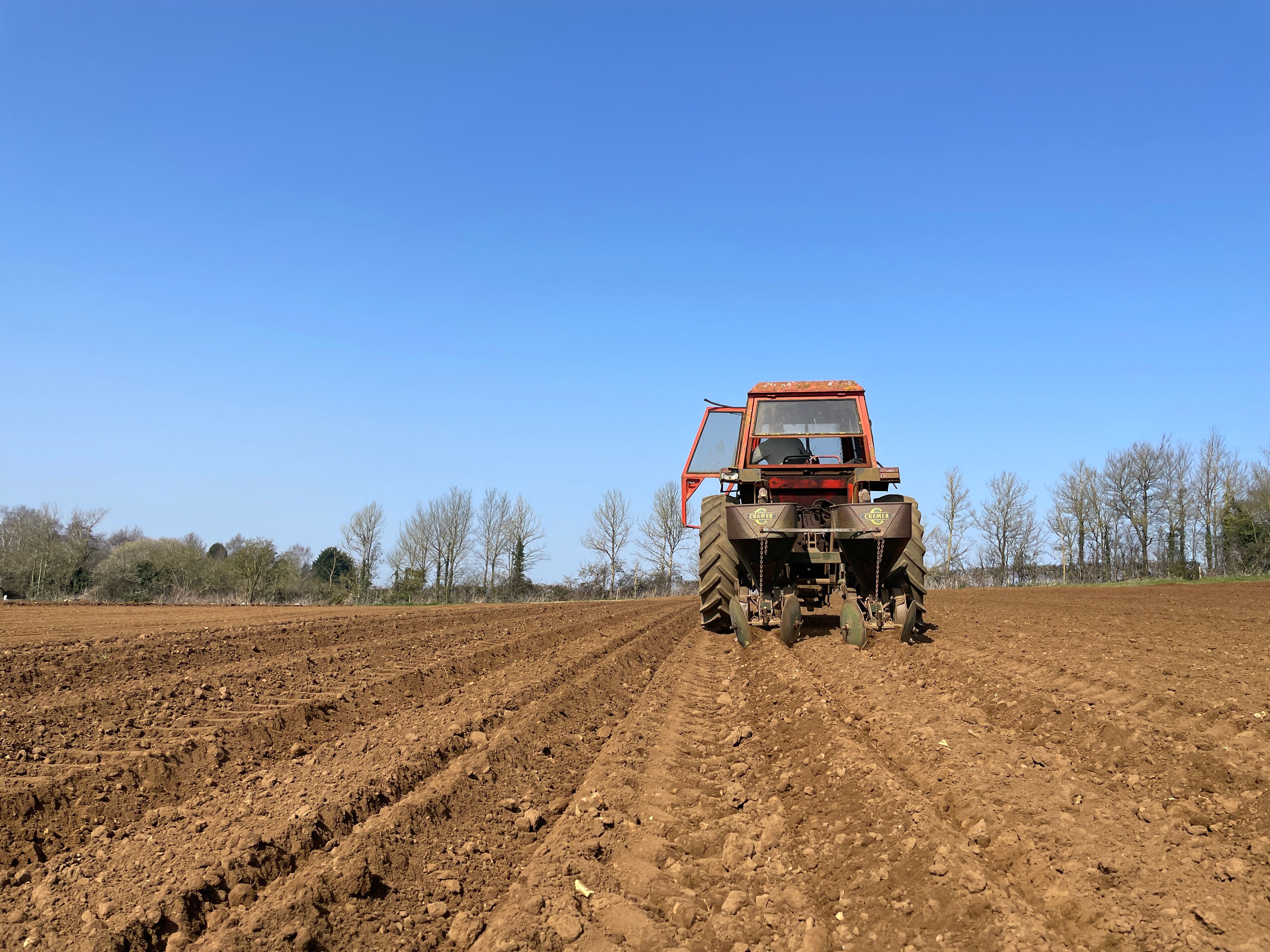 Image of The Hungry Gap