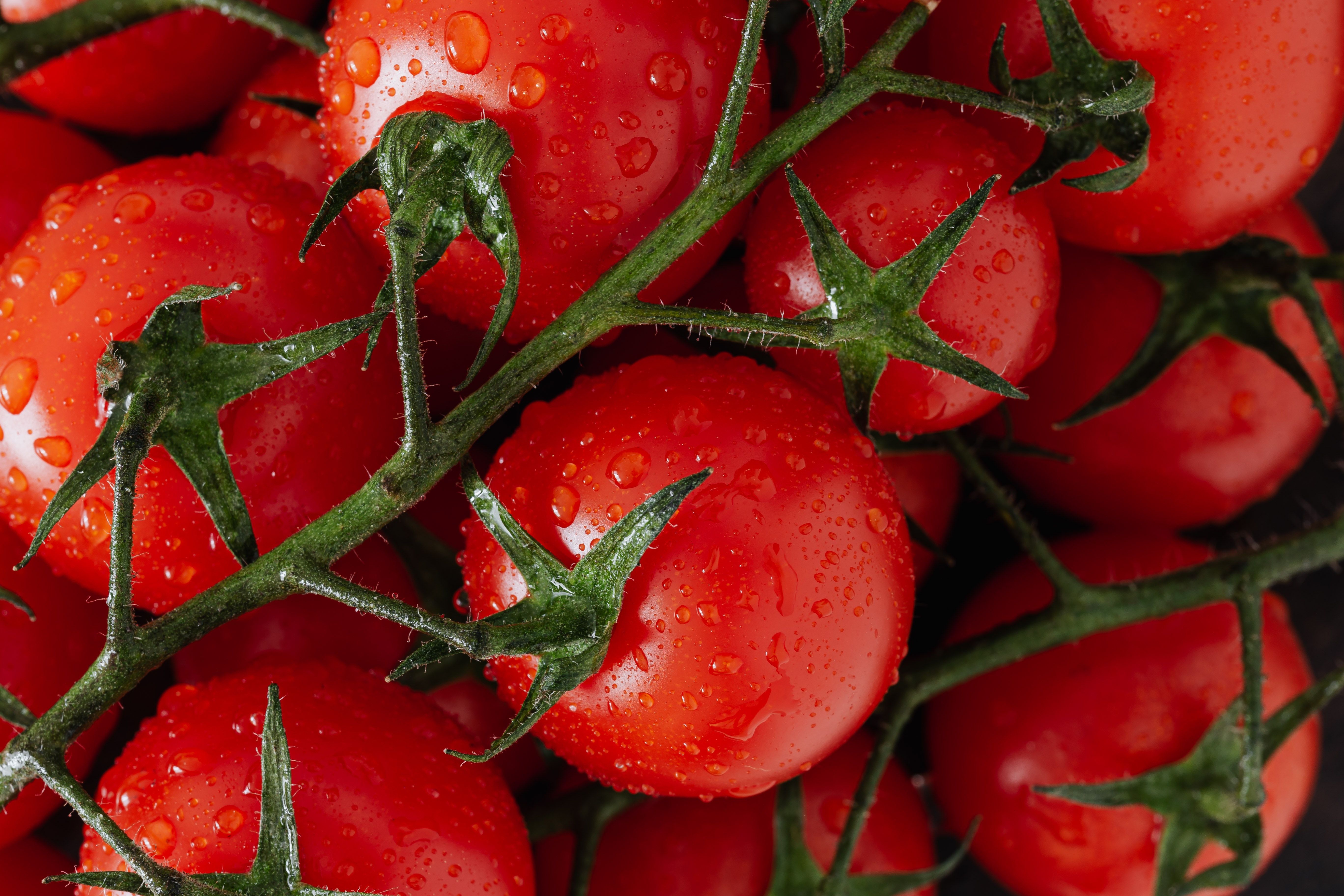 Image of Organic UK grown Vine Tomatoes: The Tomato Stall