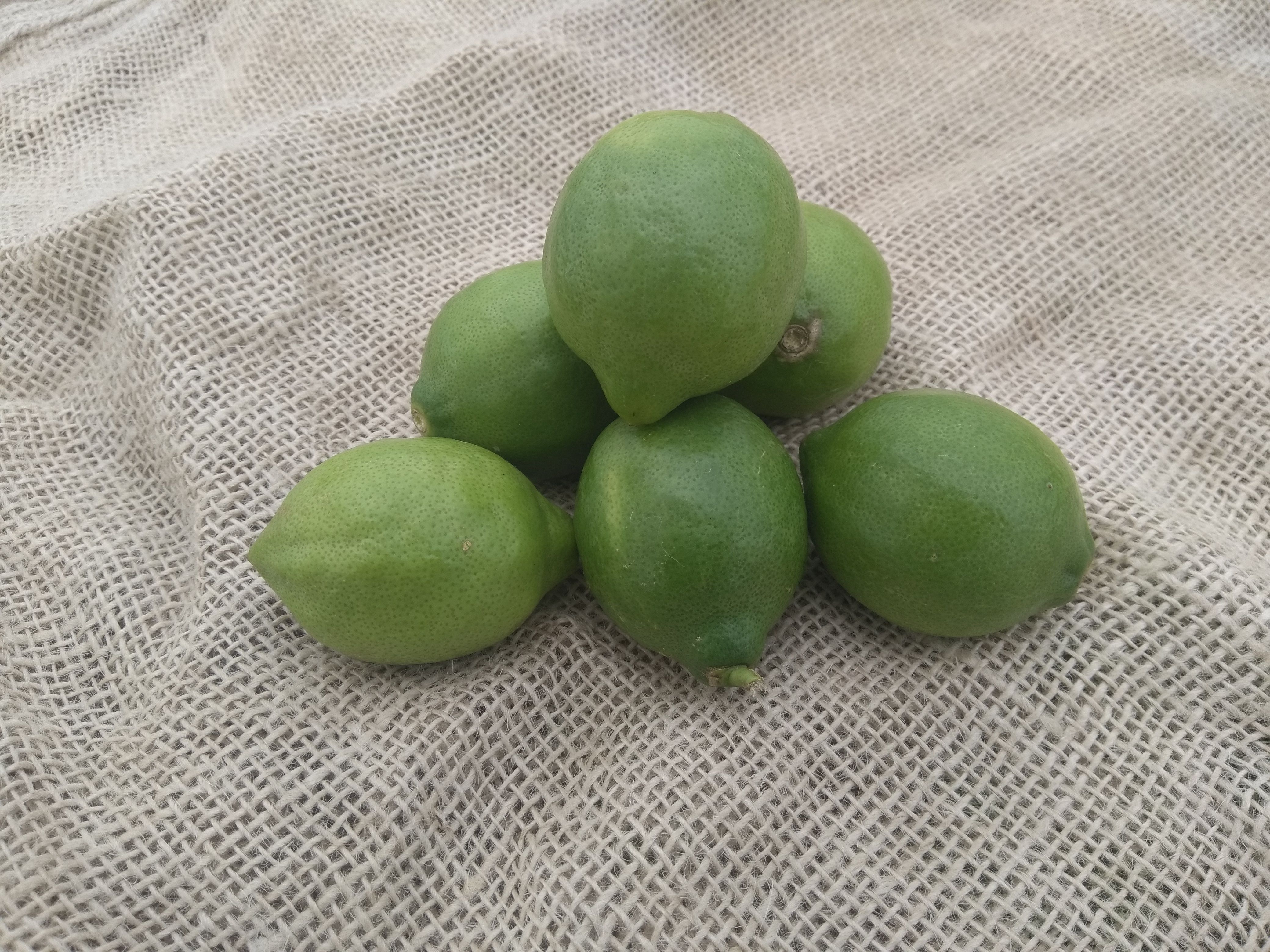 Image of Green Lemons (Langridge, Italy)