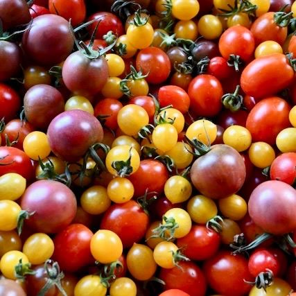 Image of Preserved Tomatoes