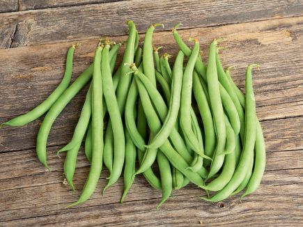 'Maxi' French Beans (Forty Hall Farm)