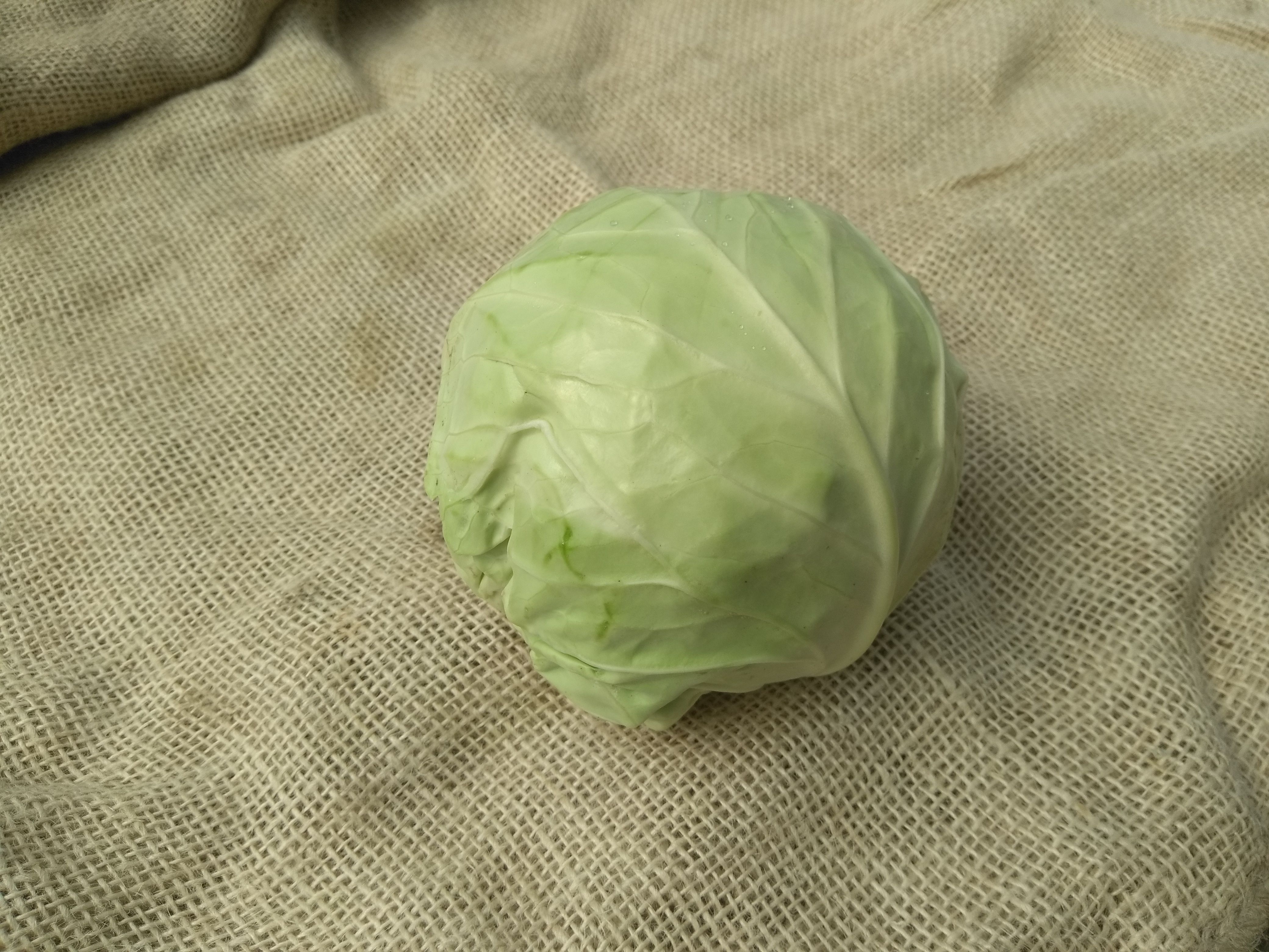 Image of Cabbage