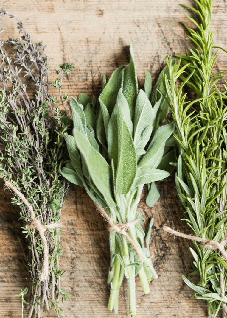 Sage