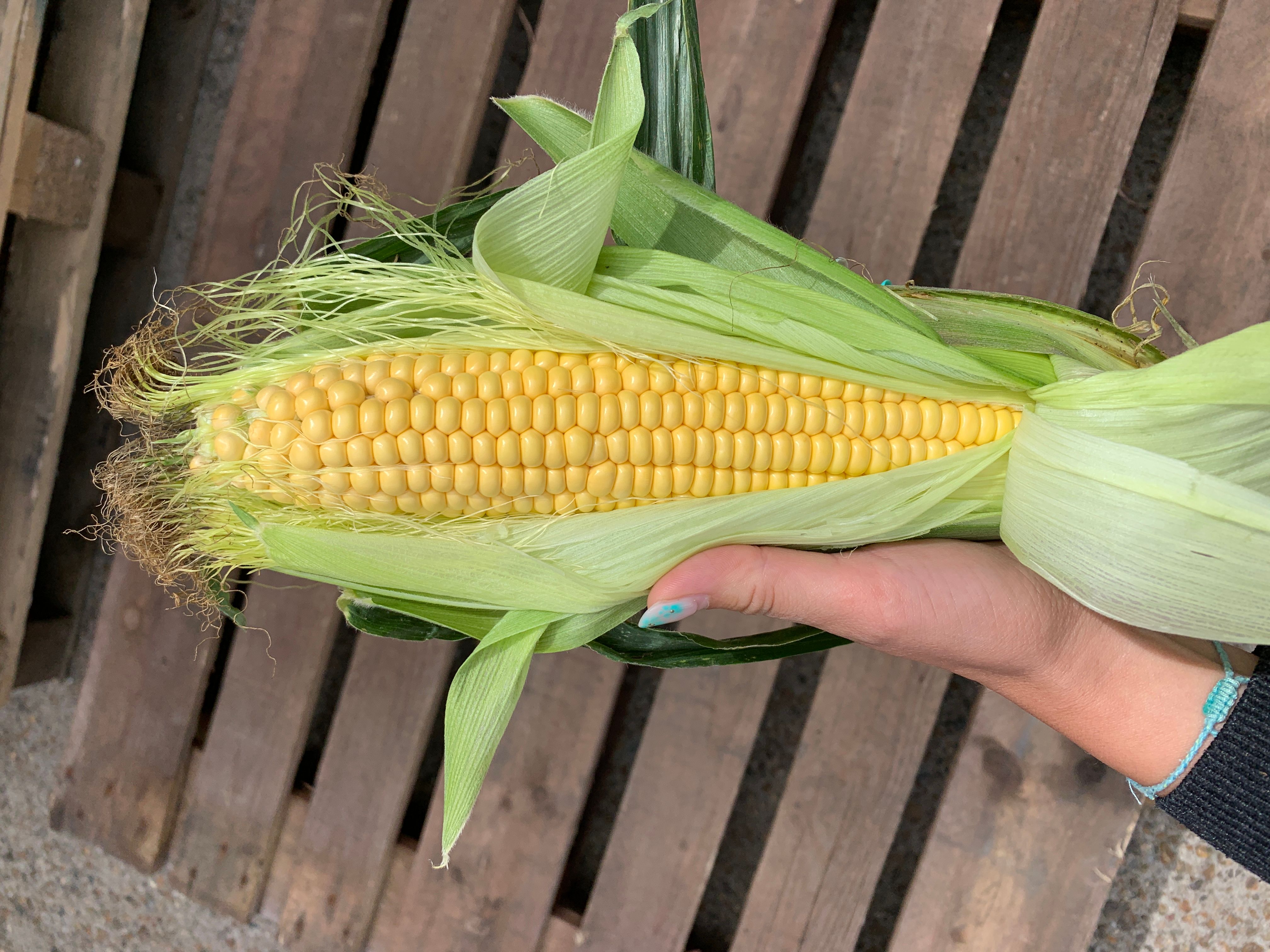 Sweetcorn
