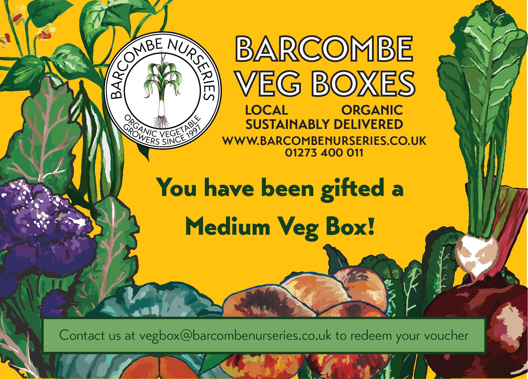 Gift a Medium Veg Box