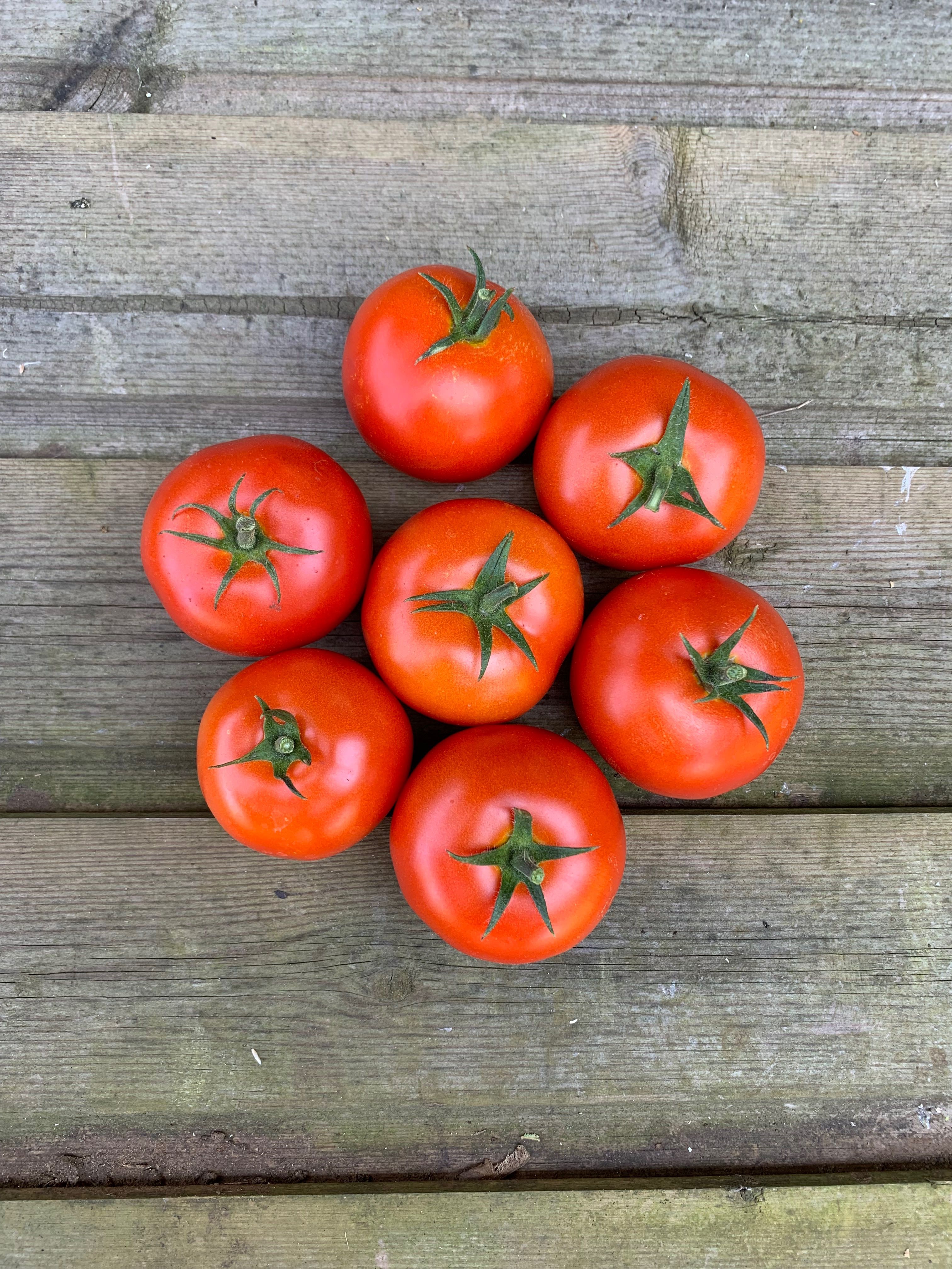 Image of Large Tomatoes