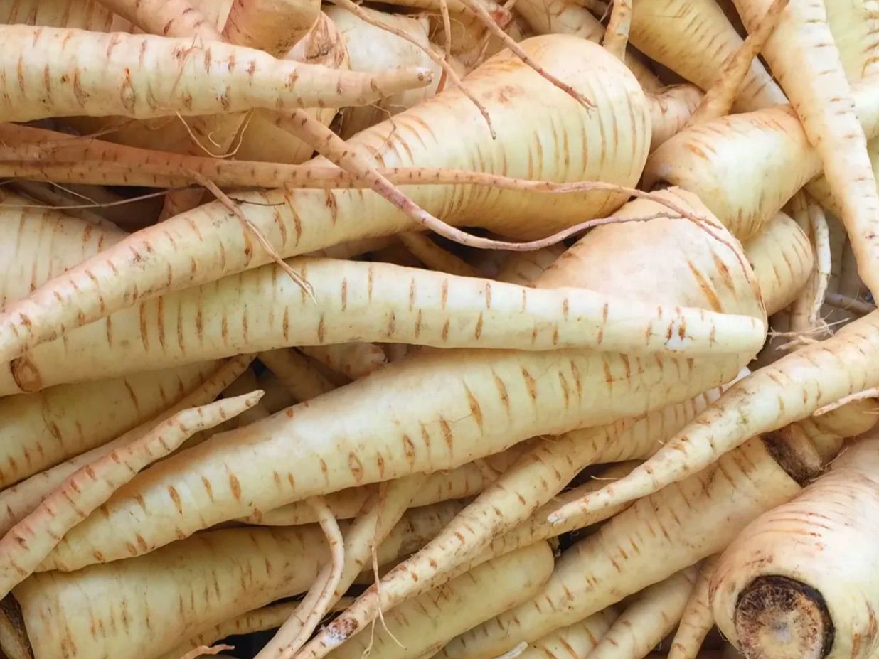 Parsnips