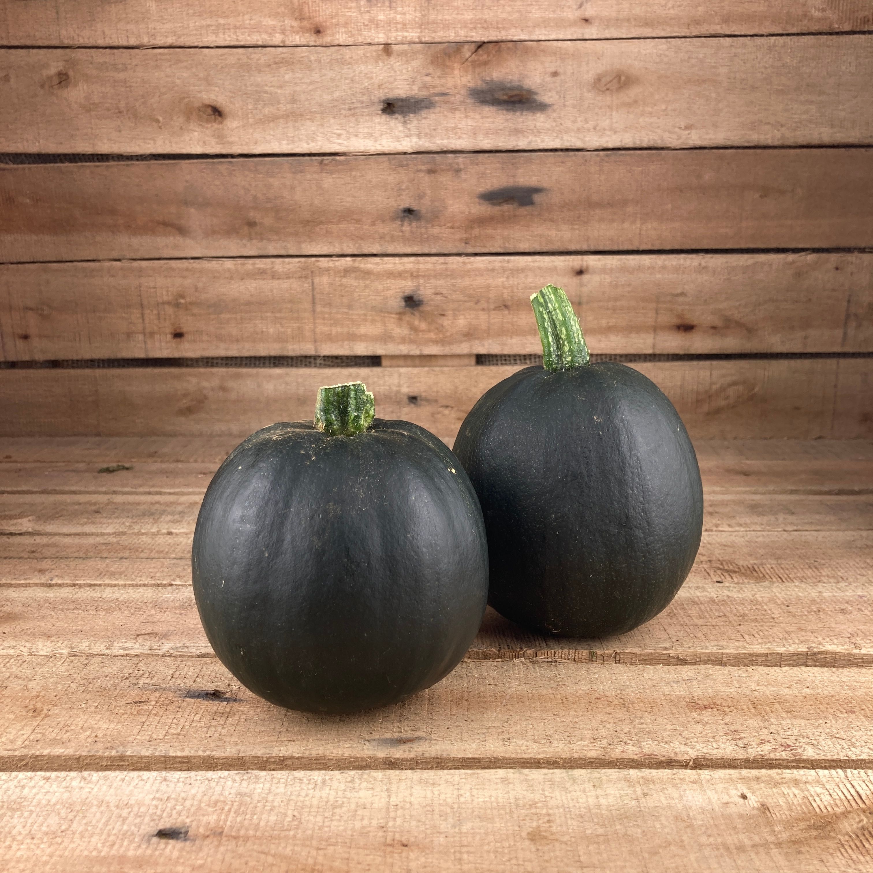 Gem Squash