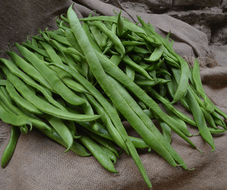 Runner Beans